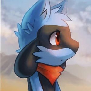 Meet your Posher, Kaleb